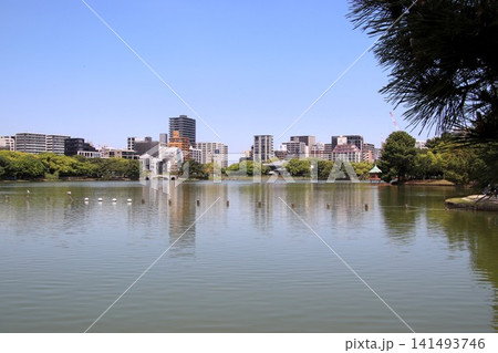 福岡市の大濠公園風景 141493746