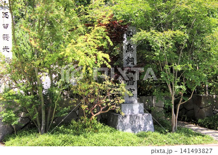 福岡市の鳥飼八幡宮参道 福岡市の鳥飼八幡宮参道 141493827