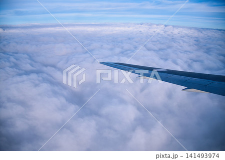 飛行機の窓からの風景 飛行機の窓からの風景 141493974