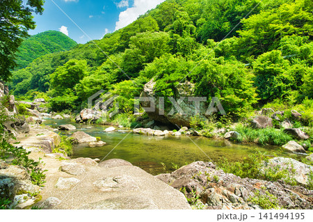 栃木県日光市　川治温泉に流れる男鹿川 141494195
