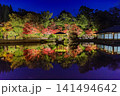 広島県三原市三景園の紅葉のライトアップ 141494642
