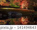広島県三原市三景園の紅葉のライトアップ 141494643