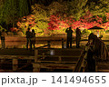 広島県三原市三景園の紅葉のライトアップ 141494655