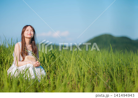 青空の下に広がる夏の草原の風景 青空の下に広がる夏の草原の風景 141494943