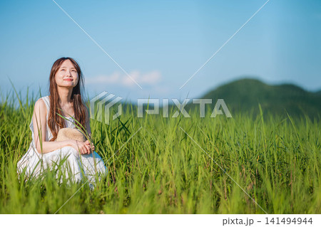 夏の日差しに輝く緑の草原の風景 141494944