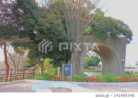 千葉県千葉市、千葉公園の風景 141495348