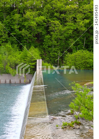 北海道、美瑛、丘の町、初夏の北海道、白金の青い池、早朝に訪れると観光客が一人もいない夜明けの神秘青池 北海道、美瑛、丘の町、初夏の北海道、白金の青い池、早朝に訪れると観光客が一人もいない夜明けの神秘青池 141495493