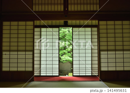 雲龍院　悟りの間から眺める隙間の青もみじ(京都市東山区) 141495631