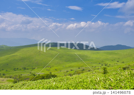 【長野県】夏の霧ヶ峰高原 【長野県】夏の霧ヶ峰高原 141496078