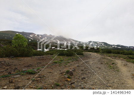 初夏〜夏の北海道、美瑛、十勝岳望岳台から美瑛や十勝岳連峰を望む、大雪山国立公園をトレッキング 141496340