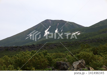初夏〜夏の北海道、美瑛、十勝岳望岳台から美瑛や十勝岳連峰を望む、大雪山国立公園をトレッキング 初夏〜夏の北海道、美瑛、十勝岳望岳台から美瑛や十勝岳連峰を望む、大雪山国立公園をトレッキング 141496345
