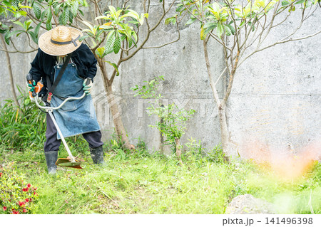 初夏に草刈り機で草刈りをする高齢男性 初夏に草刈り機で草刈りをする高齢男性 141496398