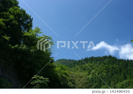 鳥取 四季の散歩 夏 佐治 恩原 鳥取 四季の散歩 夏 佐治 恩原 141496450