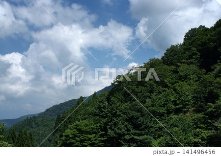 鳥取 四季の散歩 夏 佐治 恩原 鳥取 四季の散歩 夏 佐治 恩原 141496456
