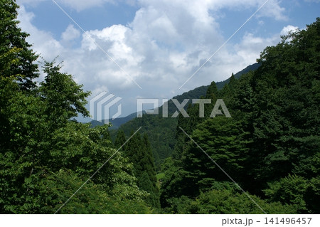鳥取 四季の散歩 夏 佐治 恩原 鳥取 四季の散歩 夏 佐治 恩原 141496457