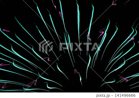 鳥取 四季の散歩 夏 花火 アート 鳥取 四季の散歩 夏 花火 アート 141496666