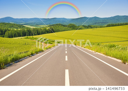 丘の町・美瑛の快適な国道の絶景 丘の町・美瑛の快適な国道の絶景 141496733