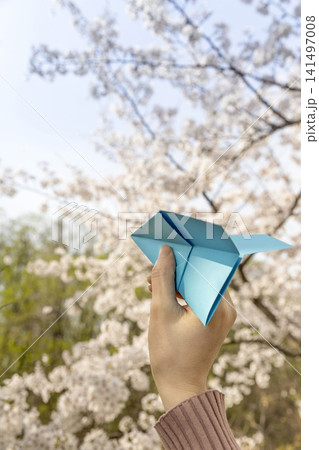 Cherry blossoms and airplanes on a spring day Cherry blossoms and airplanes on a spring day 141497008