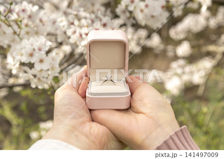  A couple proposing on a spring day 141497009