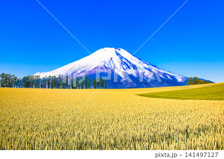 美瑛の美しい田園風景と富士山合成 美瑛の美しい田園風景と富士山合成 141497127