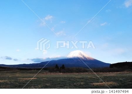 静岡県朝霧高原、広大な草原と碧い空と「富士山」 静岡県朝霧高原、広大な草原と碧い空と「富士山」 141497494