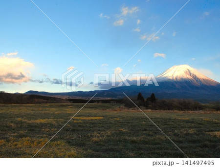 静岡県 朝霧高原、広大な草原、と「富士山」 静岡県 朝霧高原、広大な草原、と「富士山」 141497495