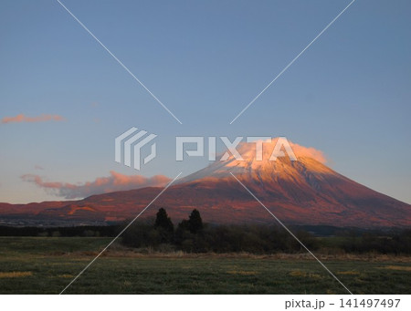 静岡県 朝霧高原、草原と「富士山」 静岡県 朝霧高原、草原と「富士山」 141497497