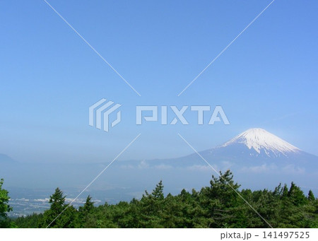 静岡県御殿場、初夏の澄み切った碧空と「富士山」 141497525