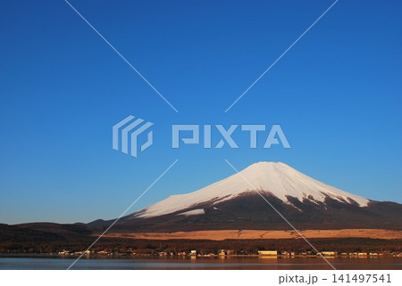山梨県 山中湖、快晴の碧い空と「富士山」 山梨県 山中湖、快晴の碧い空と「富士山」 141497541
