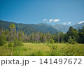 青空と穂高連峰が広がる上高地の雄大な湿原風景① 141497672