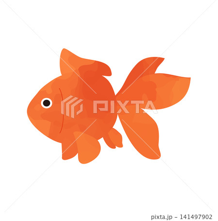 夏を彩る水彩風の金魚イラスト 夏を彩る水彩風の金魚イラスト 141497902
