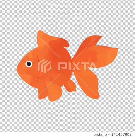 夏を彩る水彩風の金魚イラスト 夏を彩る水彩風の金魚イラスト 141497902