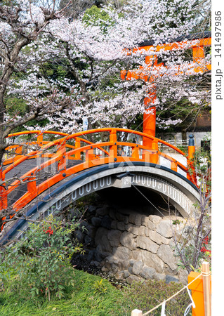 平安京遷都に国家鎮護の格式の高い神社として 賀茂御祖神社(通称:下鴨神社):境内の輪橋と鳥居 平安京遷都に国家鎮護の格式の高い神社として 賀茂御祖神社(通称:下鴨神社):境内の輪橋と鳥居 141497986