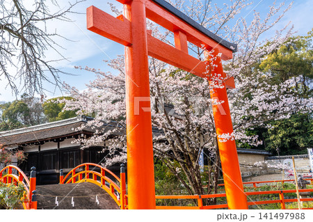平安京遷都に国家鎮護の格式の高い神社として 賀茂御祖神社(通称:下鴨神社):境内の輪橋と鳥居 平安京遷都に国家鎮護の格式の高い神社として 賀茂御祖神社(通称:下鴨神社):境内の輪橋と鳥居 141497988