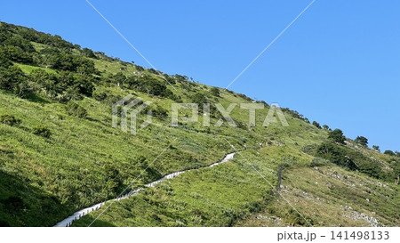 夏の伊吹山・登山道 夏の伊吹山・登山道 141498133