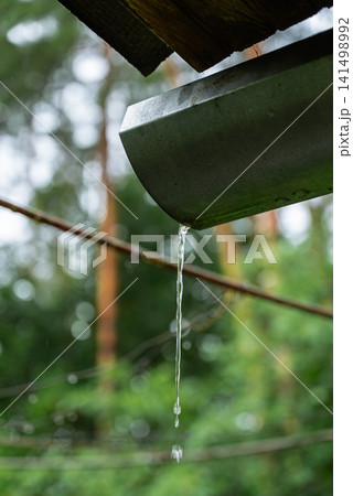 Concept of rainwater harvesting, water conservation, sustainable resource management, eco-friendly living, and efficient use of natural rainfall. The scene shows dripping water from residential Concept of rainwater harvesting, water conservation, sustainable resource management, eco-friendly living, and efficient use of natural rainfall. The scene shows dripping water from residential 141498992