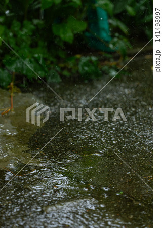 Concept of rainwater harvesting, water conservation, sustainable resource management, eco-friendly living and efficient use of natural rainfall. The scene shows dripping water from residential roofing Concept of rainwater harvesting, water conservation, sustainable resource management, eco-friendly living and efficient use of natural rainfall. The scene shows dripping water from residential roofing 141498997