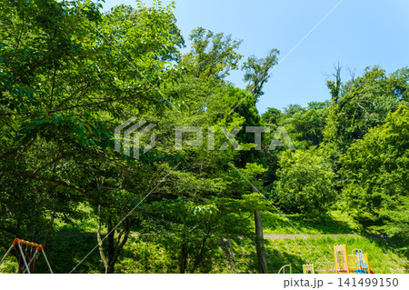 散歩の途中で見つけた夏の風景 141499150