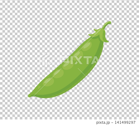 エンドウ豆,フラットイラスト 141499297