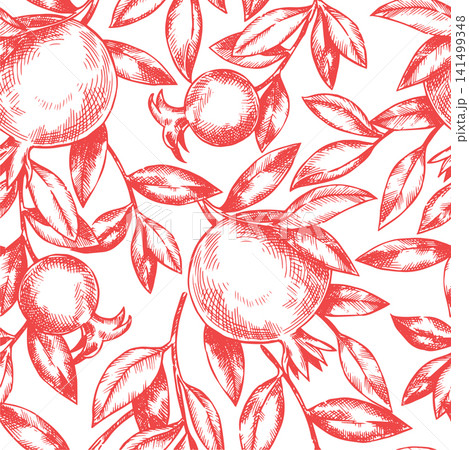 Seamless pattern of pomegranate fruits and branches. Sketch illustration. Vintage drawing. Seamless pattern of pomegranate fruits and branches. Sketch illustration. Vintage drawing. 141499348