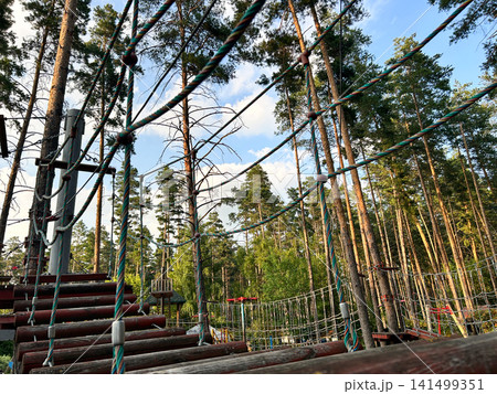 Sports forest town Sports forest town 141499351