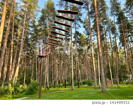 Sports forest town Sports forest town 141499352