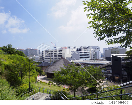 金沢八景権現山公園の夏 金沢八景権現山公園の夏 141499405