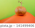 Ripe pumpkin on an abstract background made of colored paper sheets 141499406