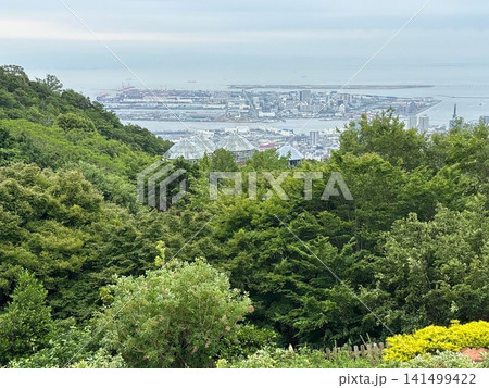 布引ハーブ園から望む神戸市街と大阪湾 布引ハーブ園から望む神戸市街と大阪湾 141499422