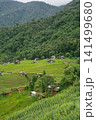 ecology travel with camping outdoor relax in rice field at chiangmai thailand in raining season 141499680