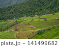 ecology travel with camping outdoor relax in rice field at chiangmai thailand in raining season 141499682