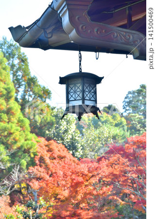 吉城園の風鐸と紅葉 吉城園の風鐸と紅葉 141500469