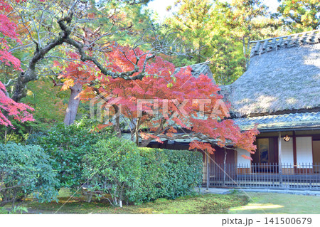 吉城園の離れ茶室と紅葉 141500679