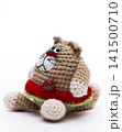 Knitted  cat on a white background 141500710